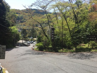 IMG_3070.jpg
