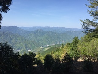 IMG_3319.JPG