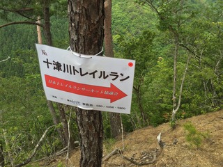 IMG_3530.JPG