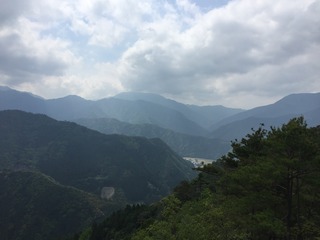 IMG_3537.JPG